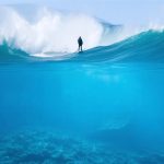 The Economic Tides Turn: How Key Earnings and Indicators Will Shape the US Market